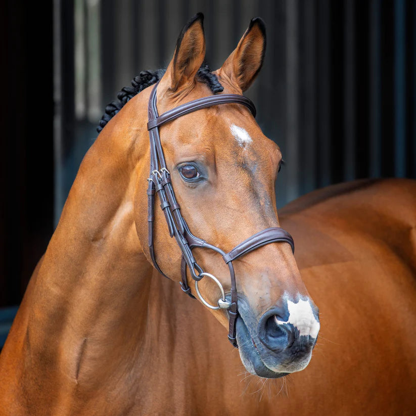 Shires Velociti Lusso Rolled Padded Cavesson