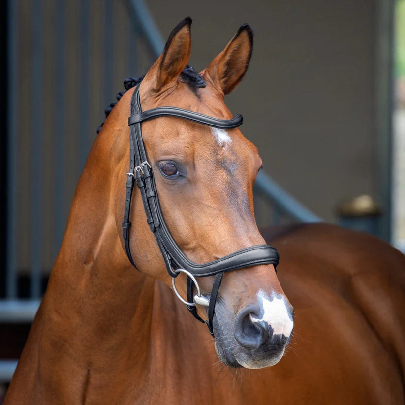 Shires Velociti Lusso Ergonomic Curved Flash Bridle