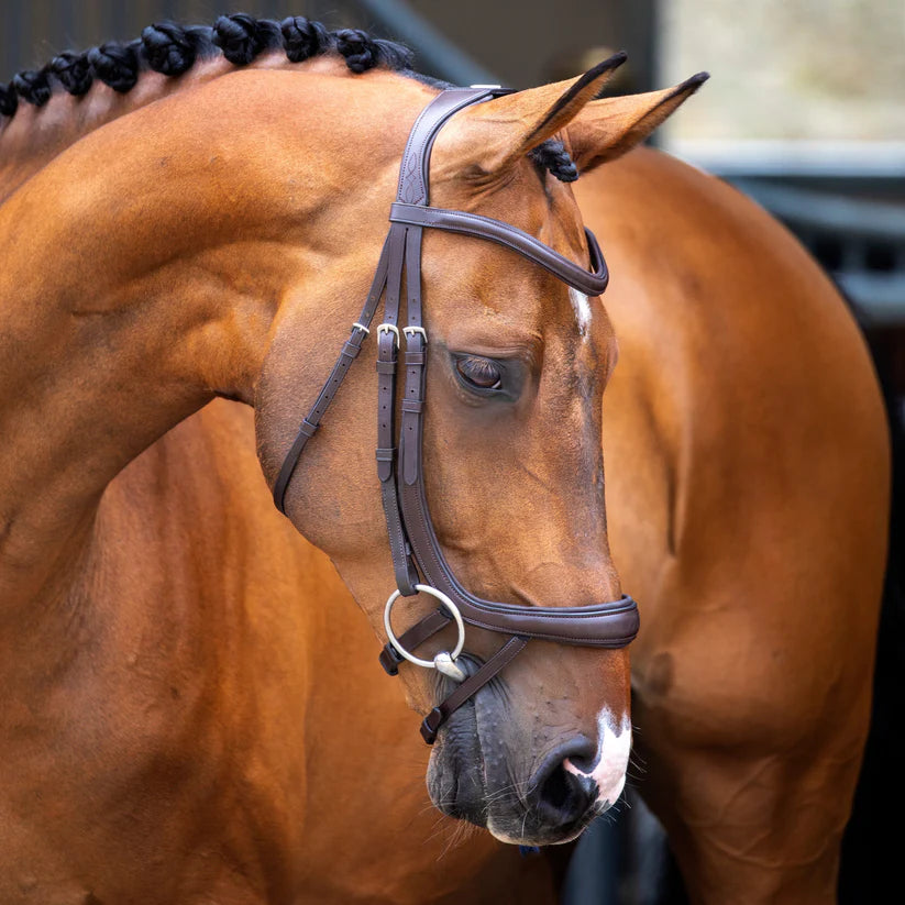 Shires Velociti Lusso Ergonomic Curved Flash Bridle