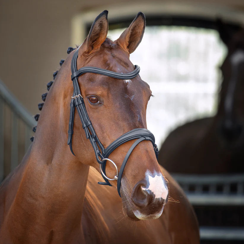 Shires Velociti Lusso Padded Raised Flash Bridle