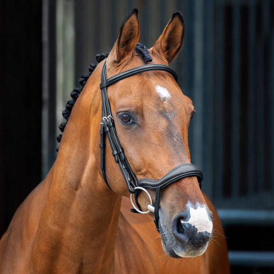 Shires Velociti Lusso Ergonomic Flash Bridle