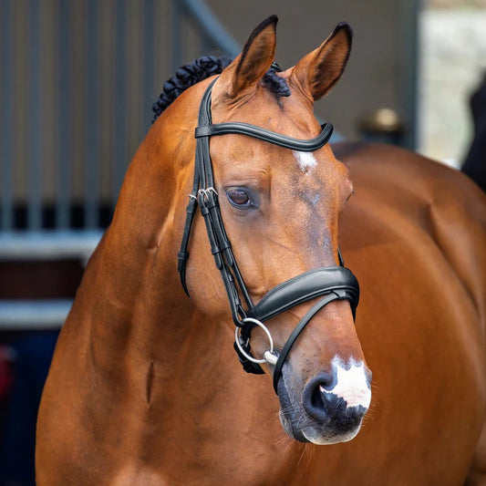 Shires Velociti Lusso Dressage Flash Bridle