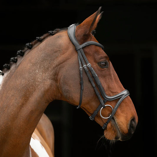 Shires Velociti Lusso Comfort Flash Bridle