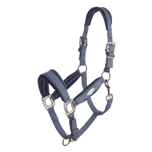 Lemieux Versailles Headcollar