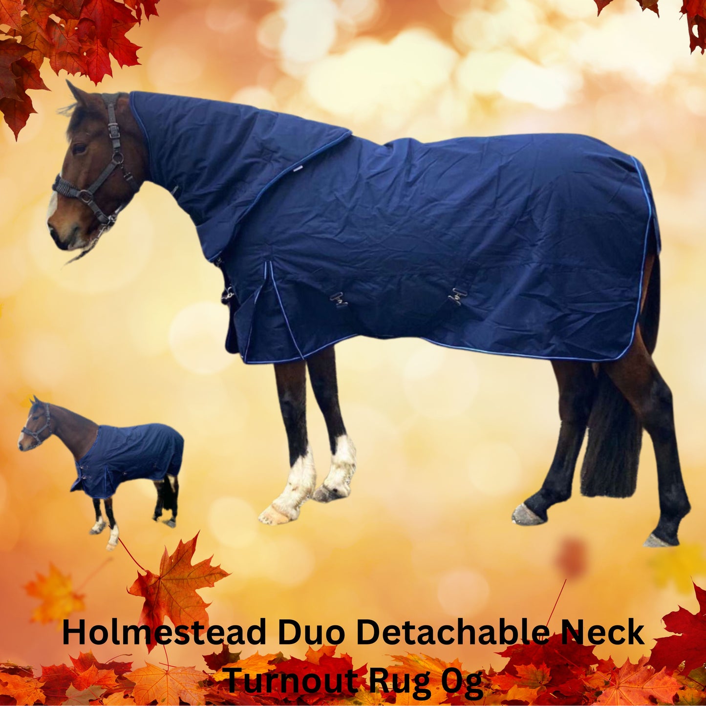 Holmestead Duo Detachable Neck Turnout Rug 0g