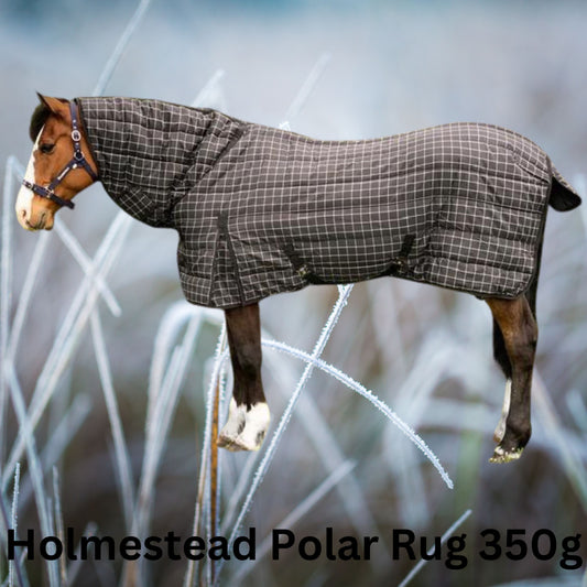 Holmestead Polar Stable Rug 300g