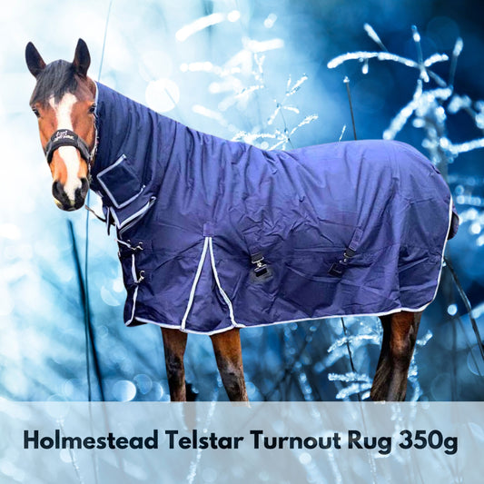 Holmestead Telstar Turnout Rug 350g