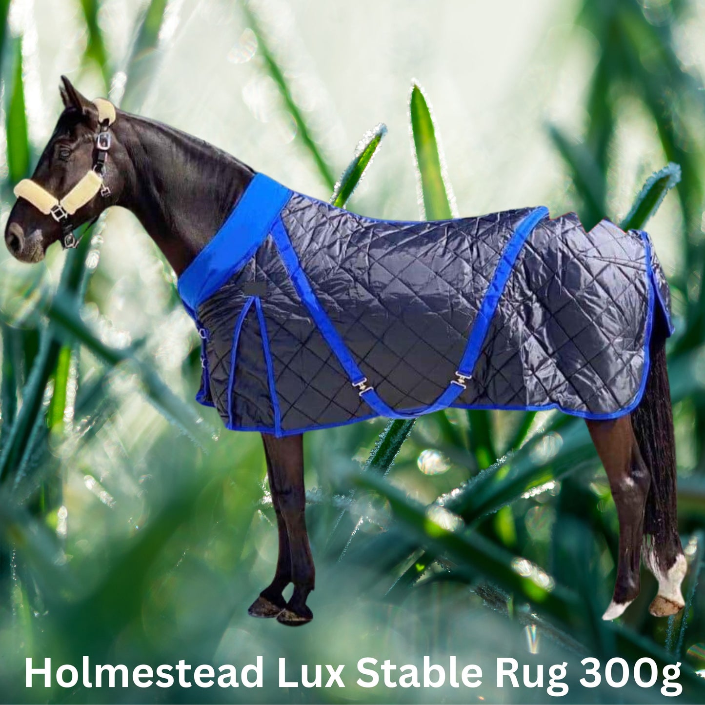 Holmestead Lux Stable Rug 300g