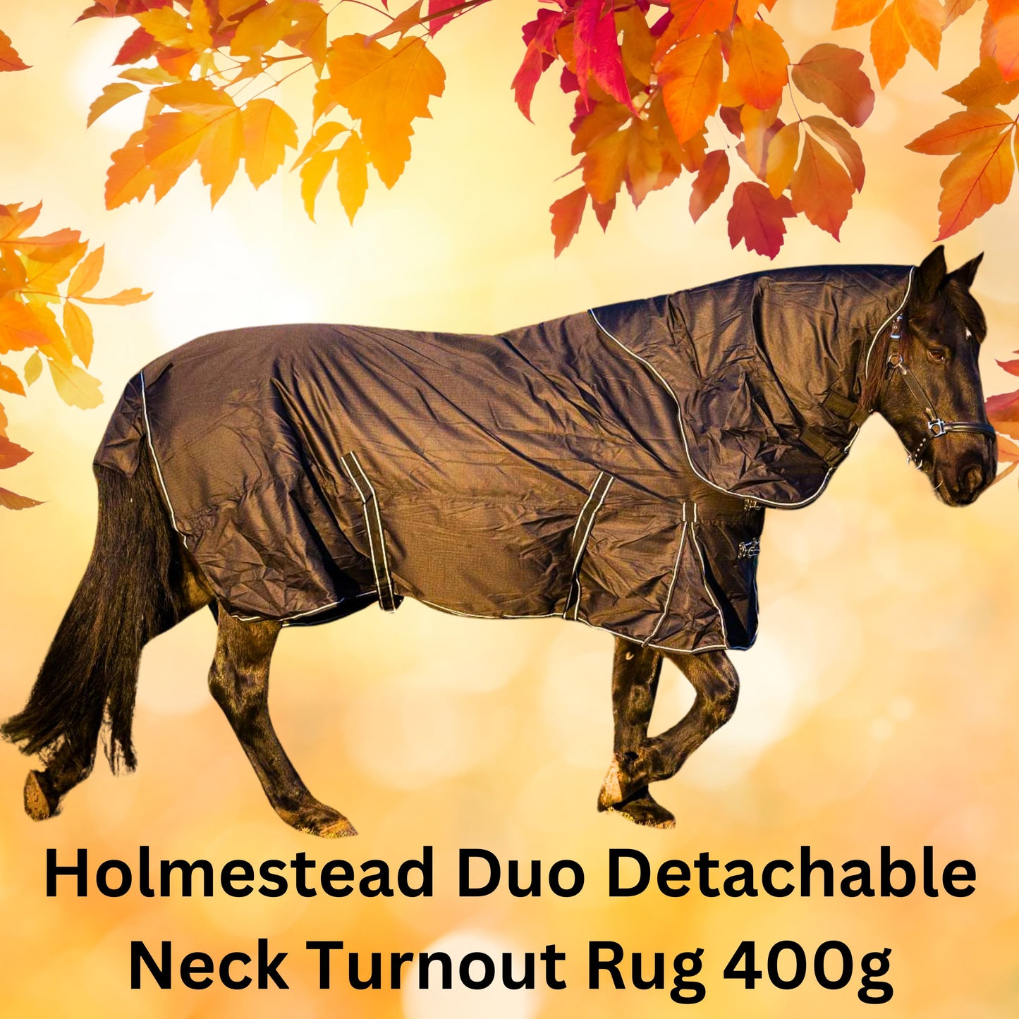 Holmestead Duo Detachable Neck Turnout Rug 400g