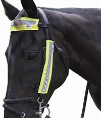 Hy Equestrian HiViz Bridle Set