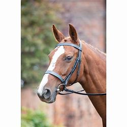 Shires Avignon Hunter Cavesson Bridle