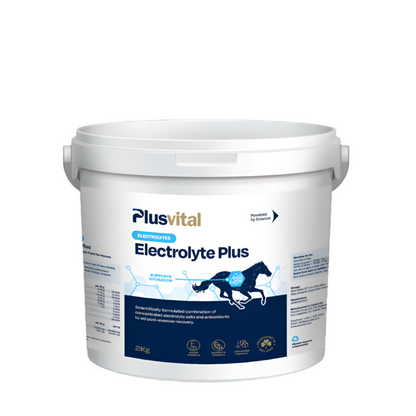 PlusVital Electrolyte Plus