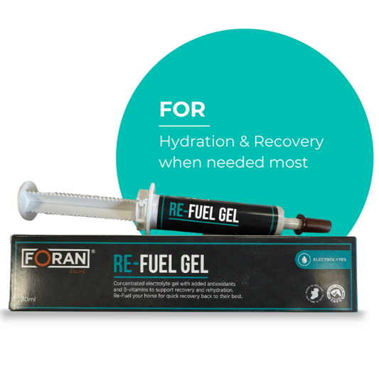 Foran ReFuel Gel