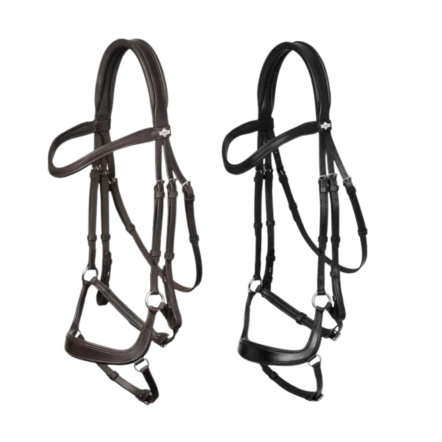 Lemieux Arika Drop Bridle