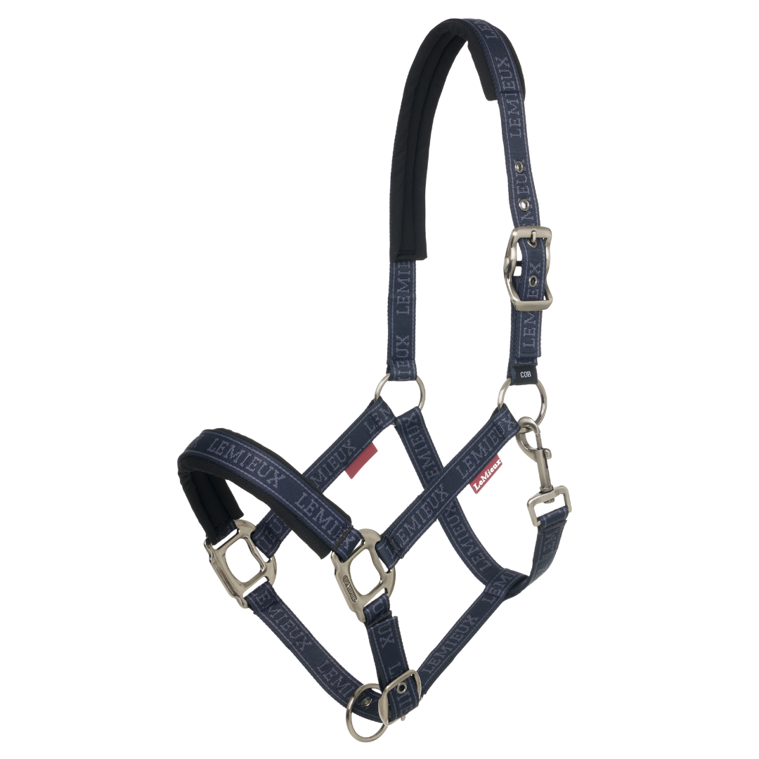 Lemieux Logo Headcollar SS25