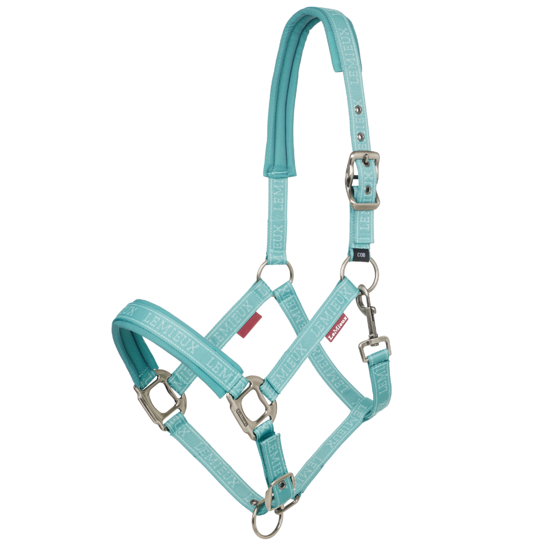 Lemieux Logo Headcollar SS25