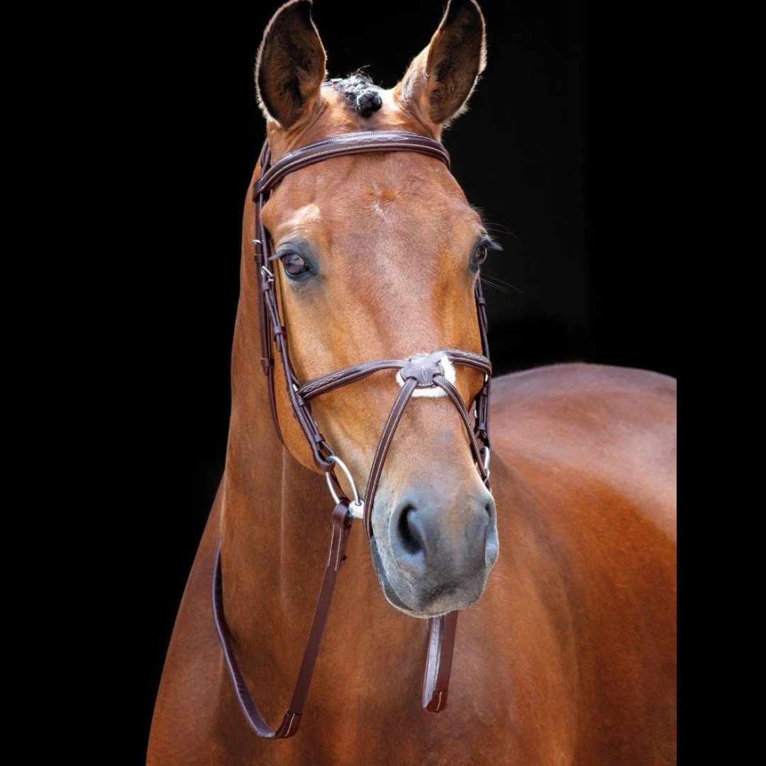 Shires Salisbury Brackley Bridle