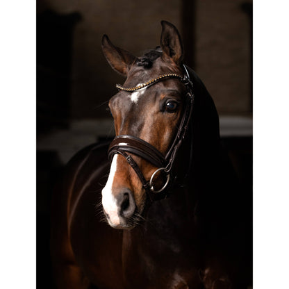 LeMieux Kudos Patent Dressage Bridle