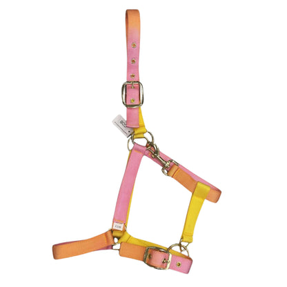 TuttiFrutti Rainbow Headcollar