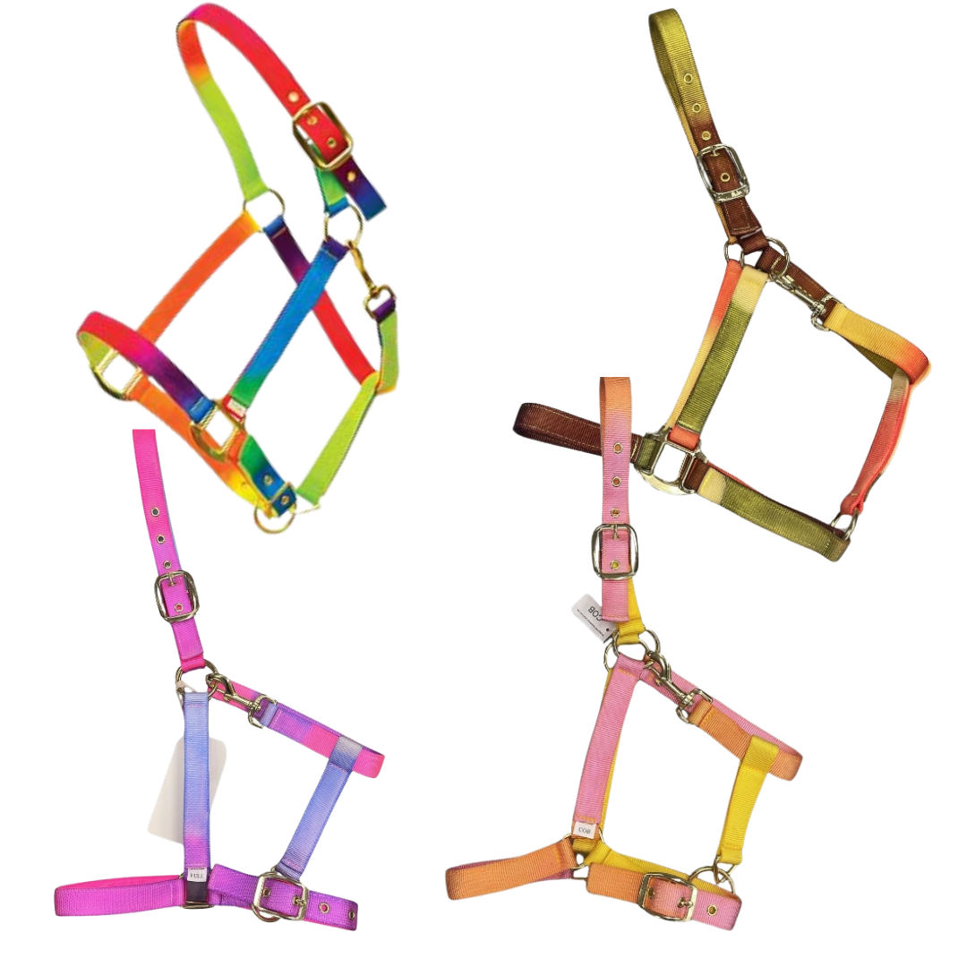 TuttiFrutti Rainbow Headcollar