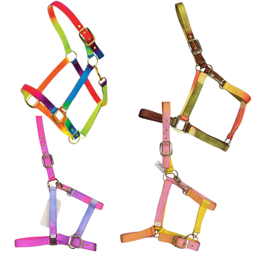 TuttiFrutti Rainbow Headcollar