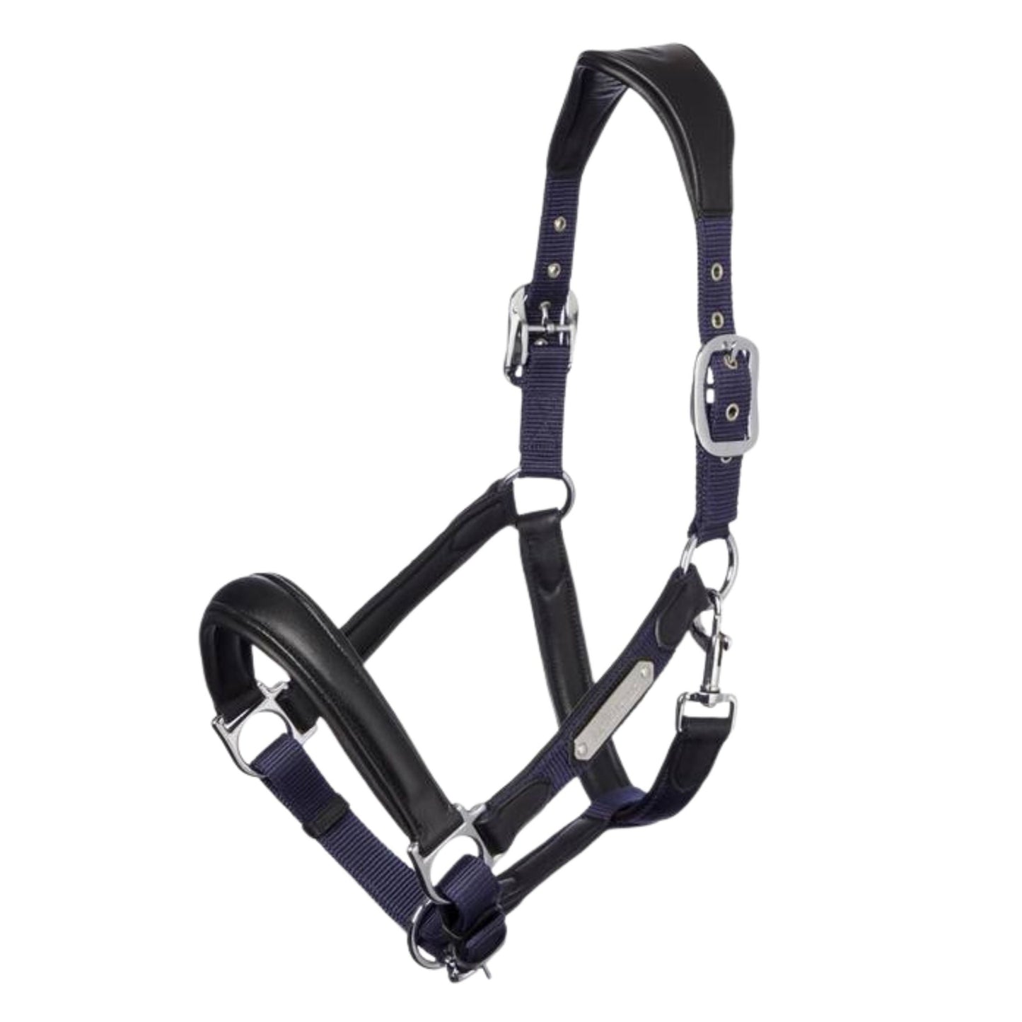 Lemieux Capella Headcollar