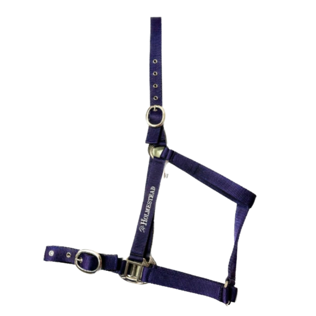 Holmestead Embroidered Headcollar