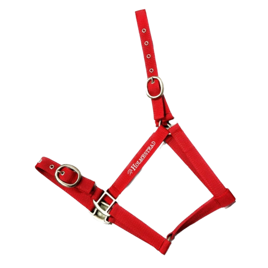 Holmestead Embroidered Headcollar