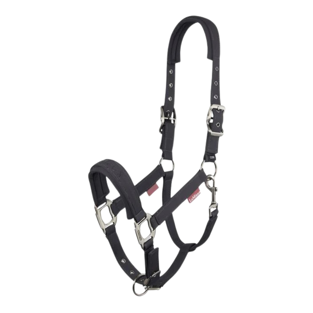 LeMieux Softshell Headcollar AW24