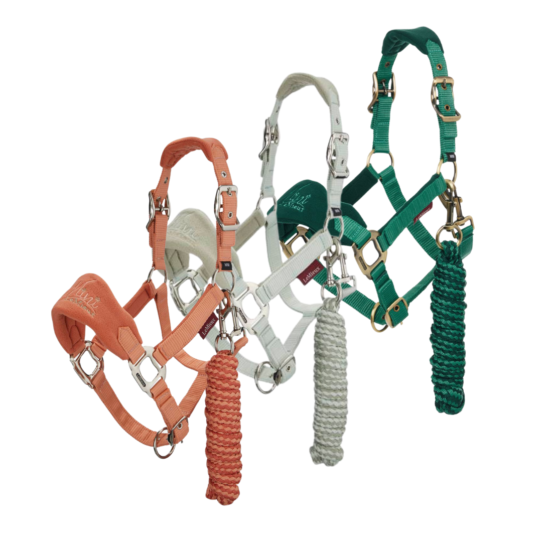 Lemieux Mini Headcollar & Leadrope