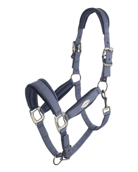 #0129  Cob Versailles headcollar