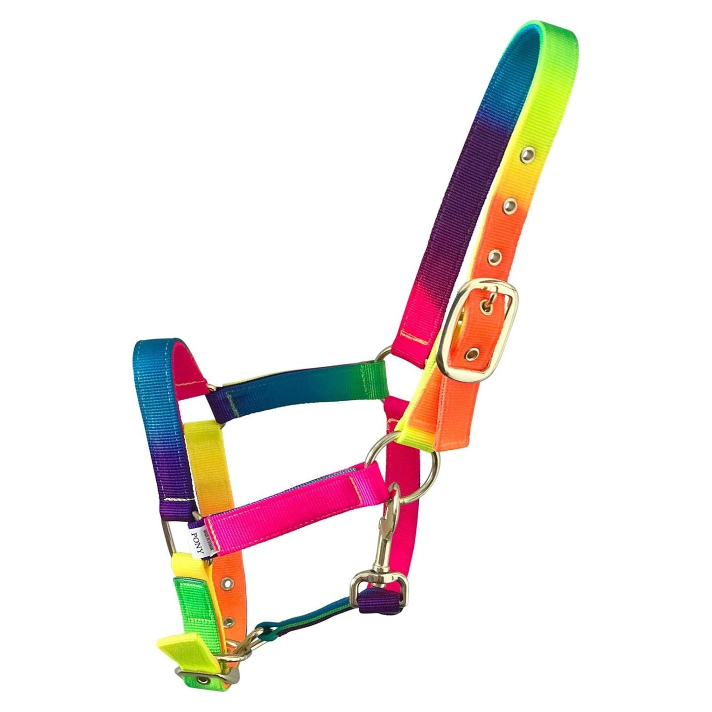 TuttiFrutti Rainbow Headcollar