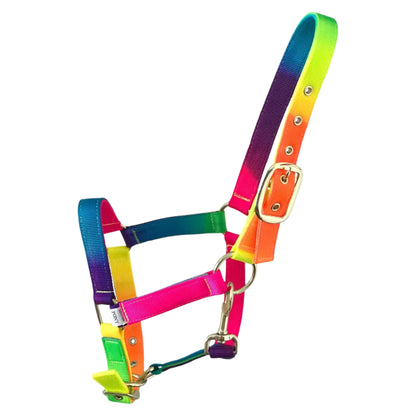 TuttiFrutti Rainbow Headcollar