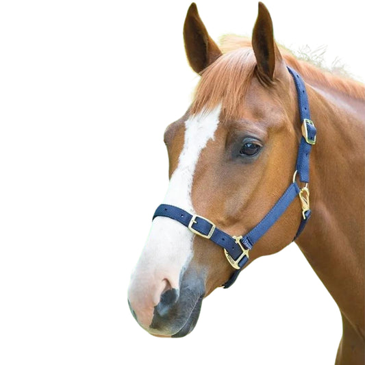 Shires Adjustable Headcollar