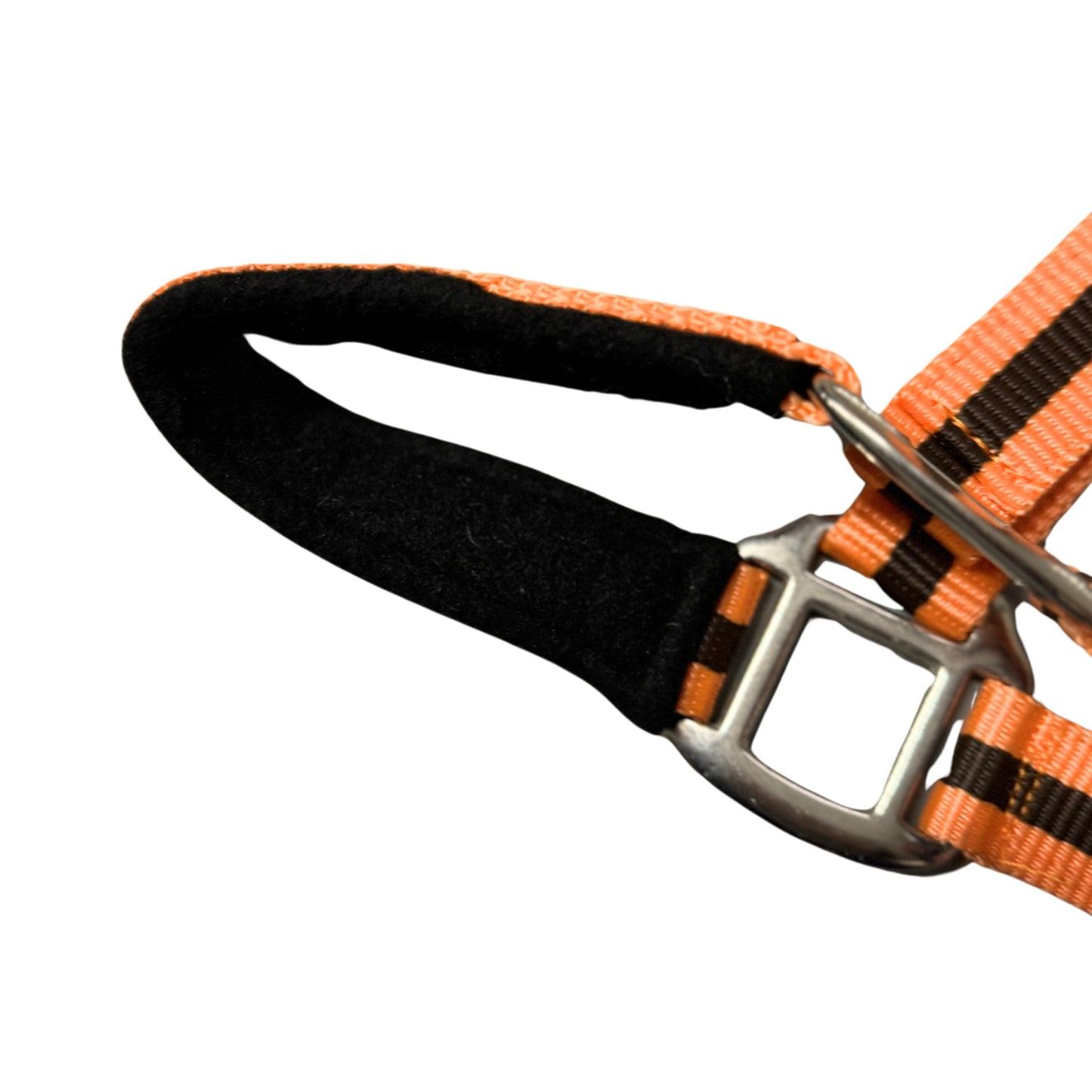 Holmestead Economy Padded Headcollar