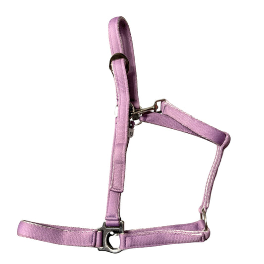 Holmestead Essencial Padded Headcollar