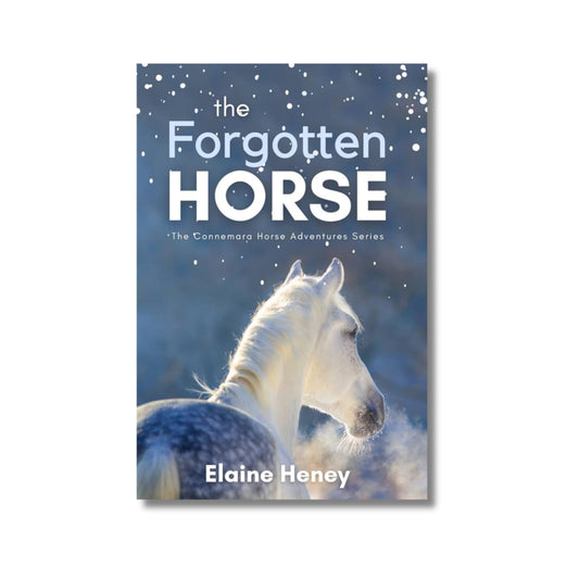 Book Forgotten Horse Elaine Heney