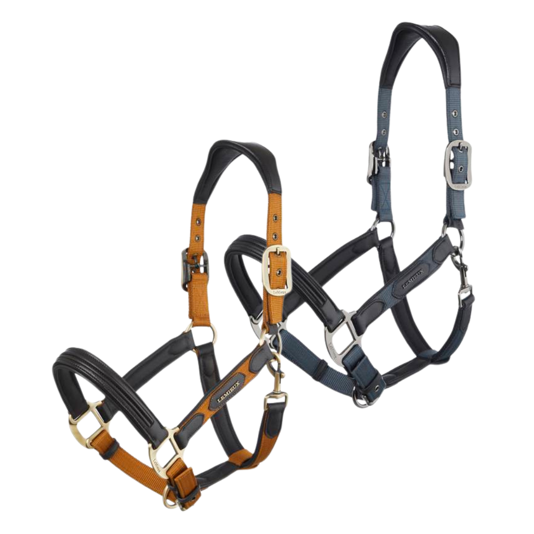 Lemieux Capella Headcollar AW24