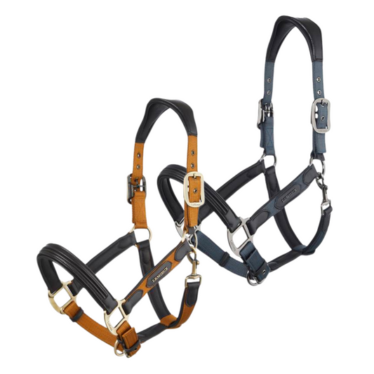 Lemieux Capella Headcollar AW24