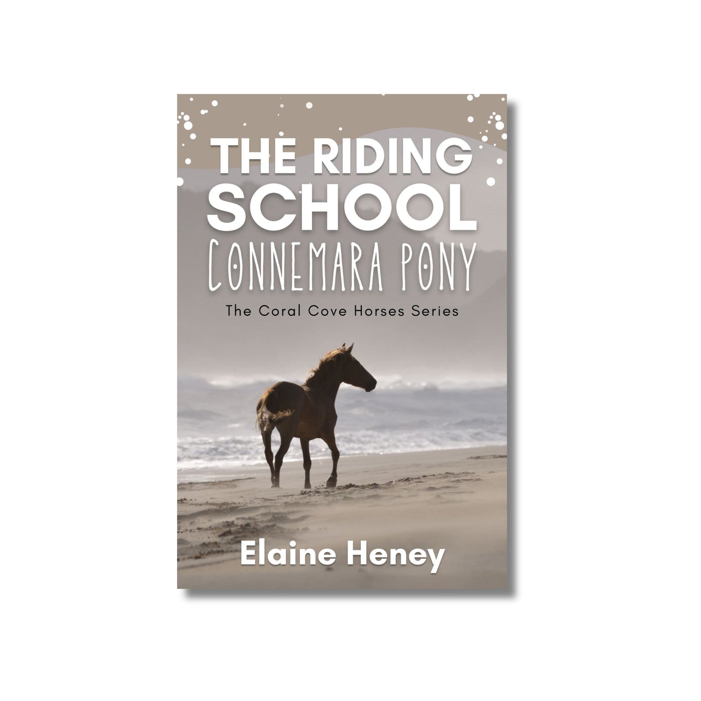 Book The Roding School Connemara Pony Elaine Heney