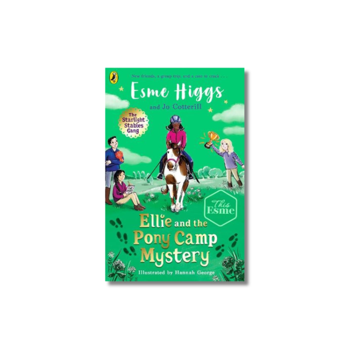 Book This Esme Ellie and the Pony Camp Mystery - The Starlight Stables Gang