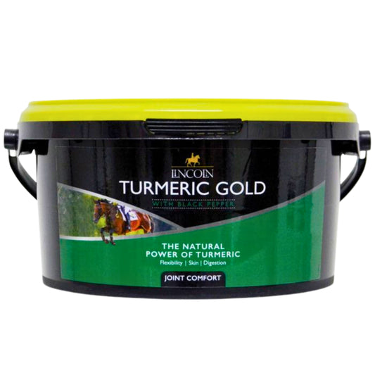 Lincoln Turmeric Gold