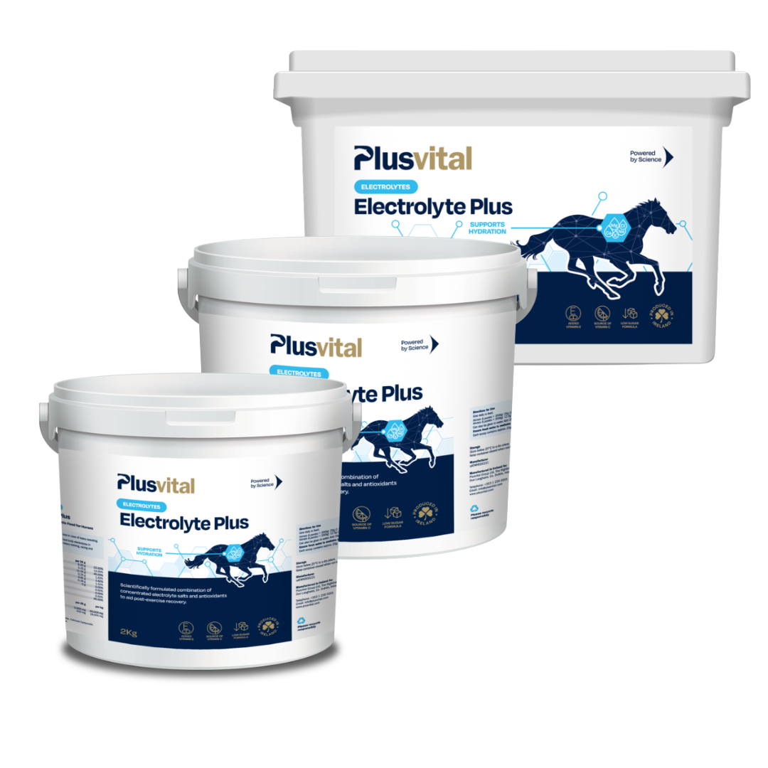 PlusVital Electrolyte Plus