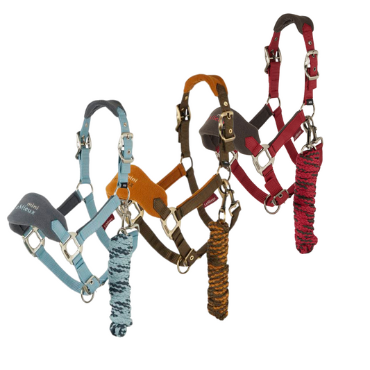 Lemieux Mini Vogue Headcollar & Leadrope Aw24