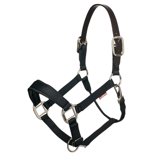 Lemieux Breakaway Headcollar