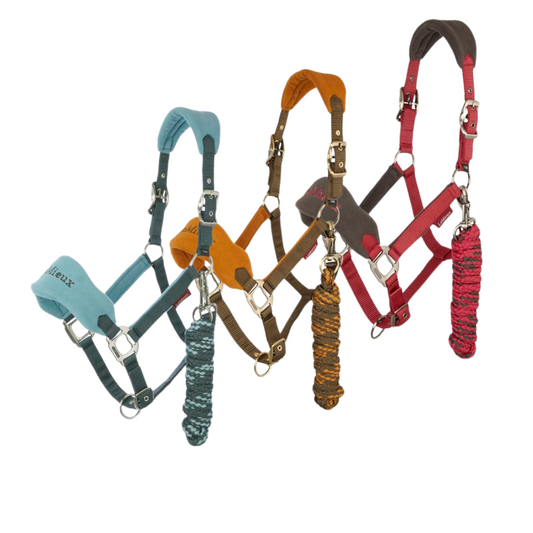 Lemieux Vogue Headcollar & Leadrope Aw24