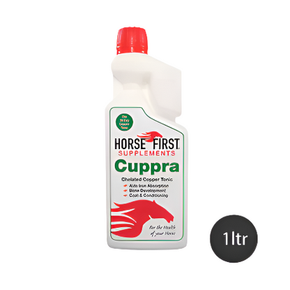 Horse First Cuppra