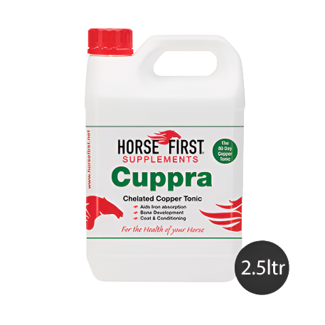 Horse First Cuppra