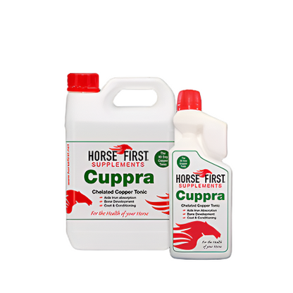 Horse First Cuppra