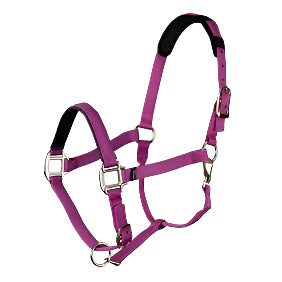 Shires ARMA Topaz Nylon Headcollar